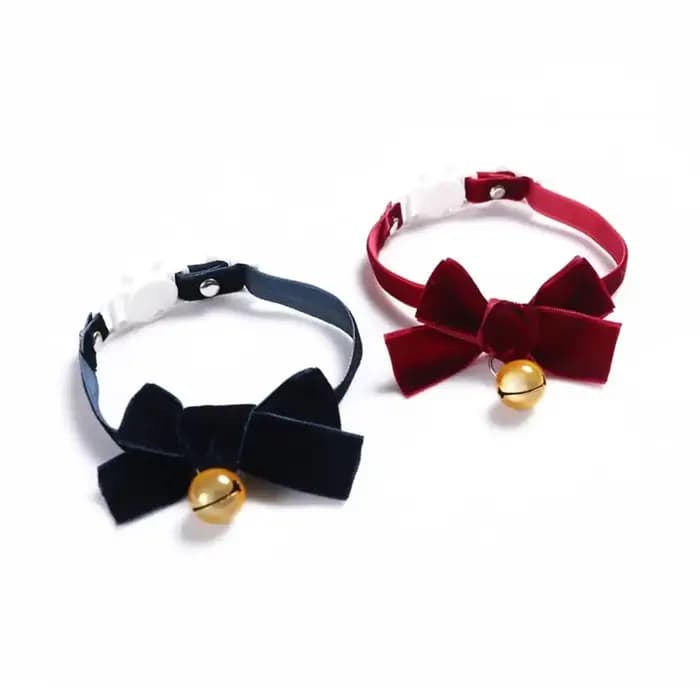 Collier élastique réglable pour chiot