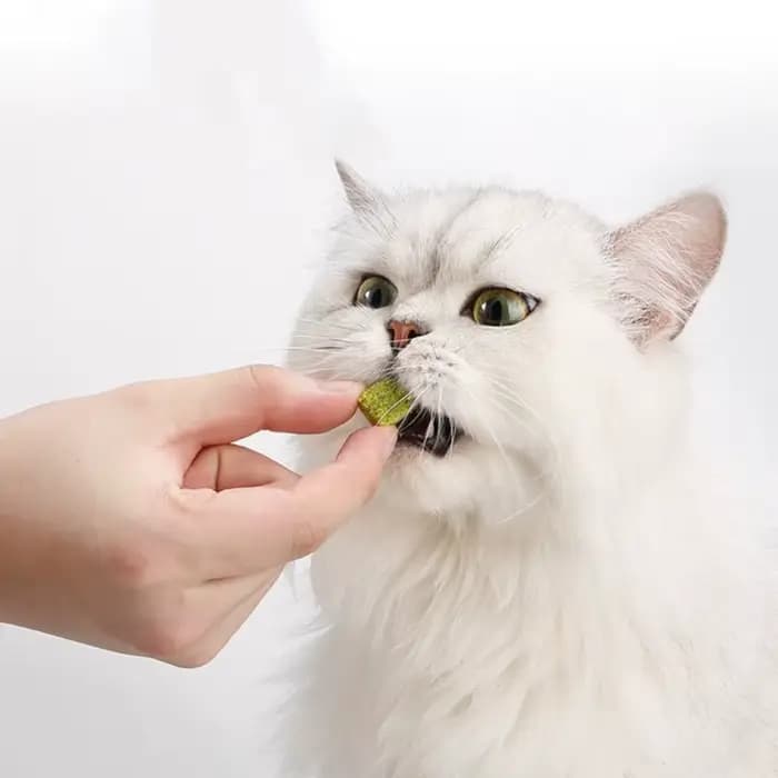 Anti-boules poils pour chat