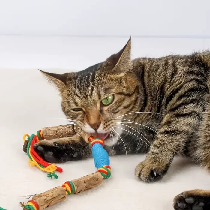 Jouet 2 pièces qui attire les chats à jouer-un