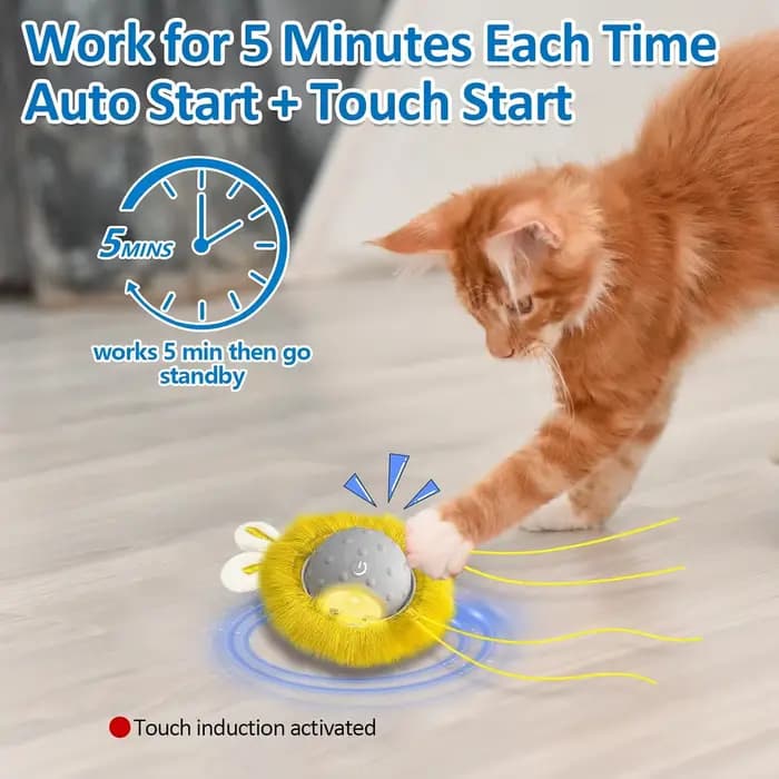 Jouets interactifs pour chats à activation par mouvement
