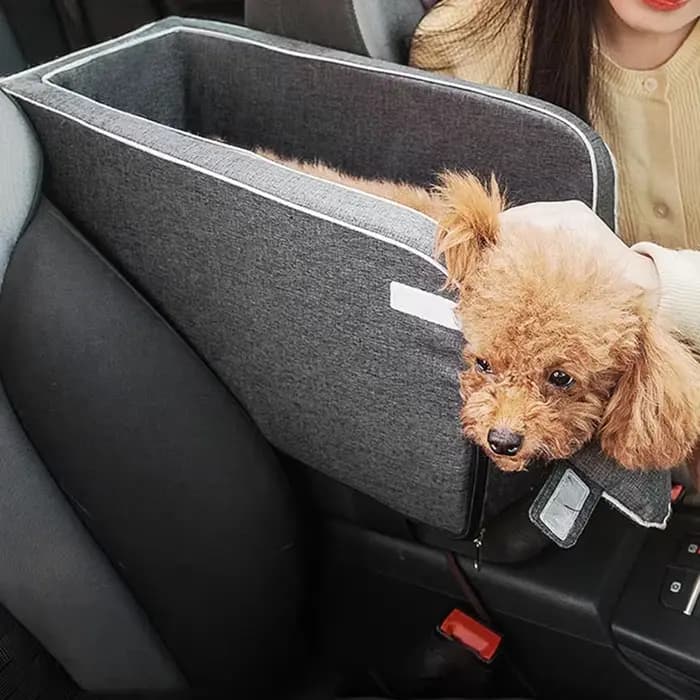 Maison chat accessoires Portable chien
