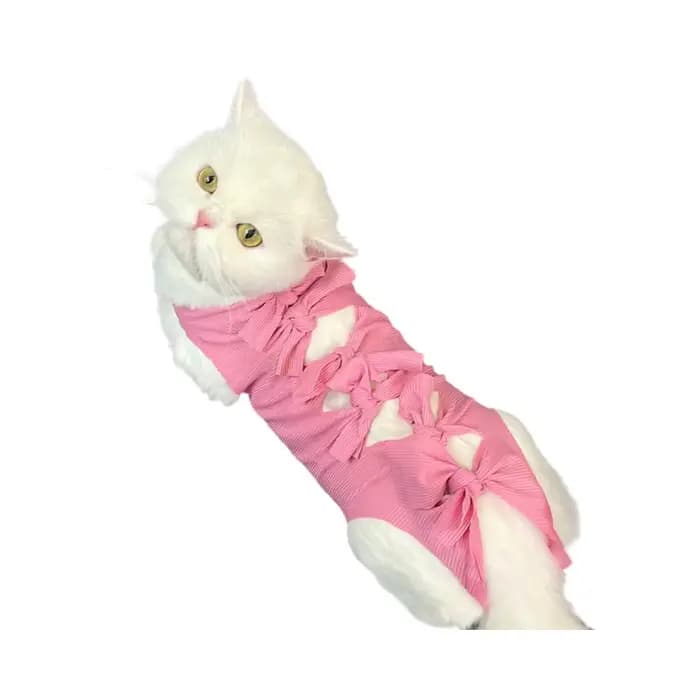 Combinaison de récupération chirurgicale pour chat