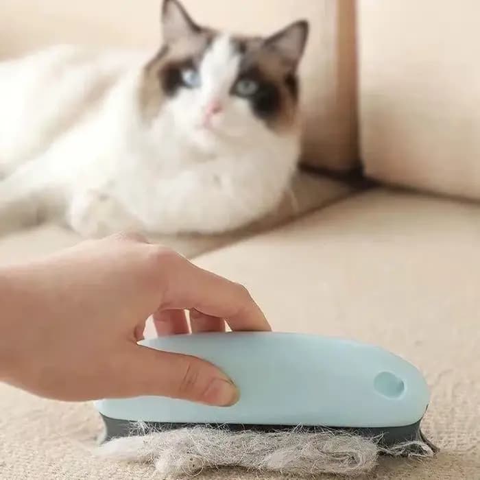 Brosse efficace pour enlever les poils de chien et de chat