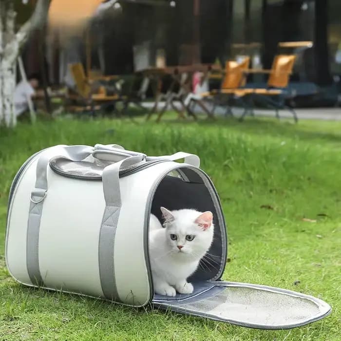 Sac de transport pliable pour chat