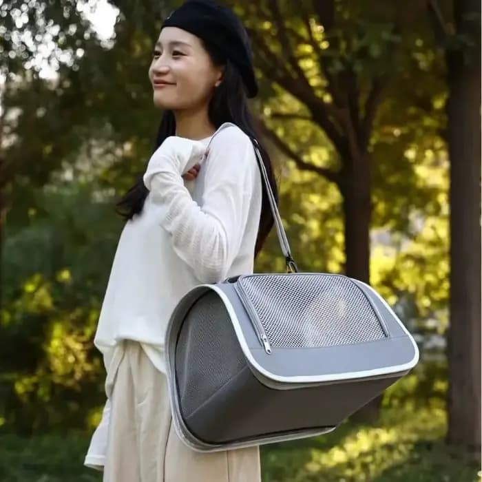 Sac à main Portable pour sortie d'animaux de compagnie