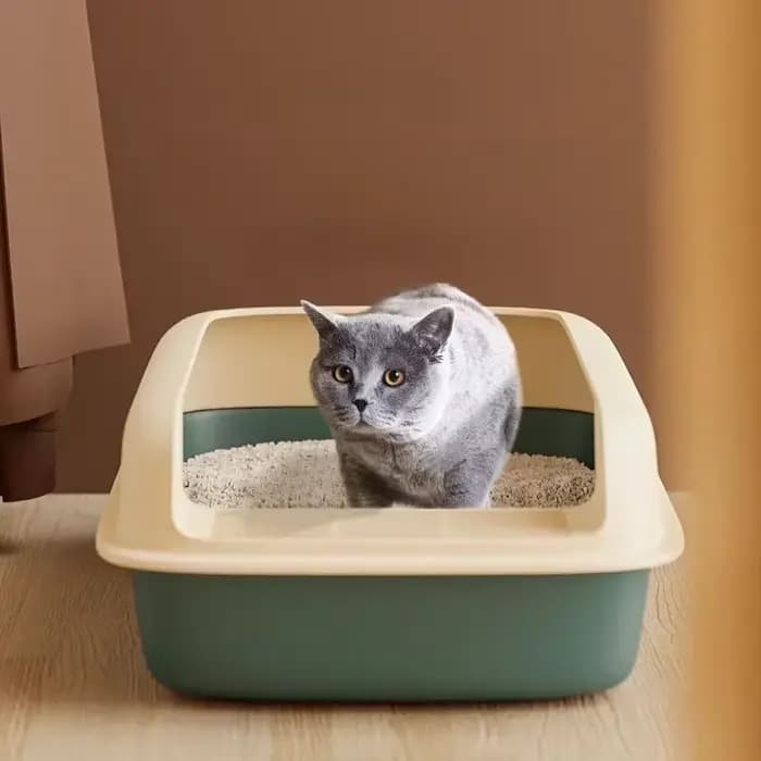 Bac à litière pour chat