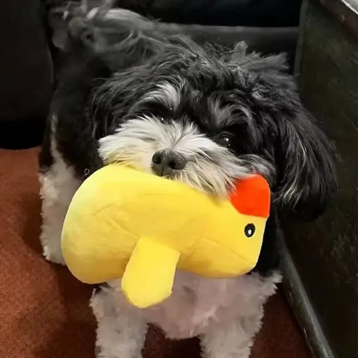 Ensemble de 7 jouets sonores pour chiots