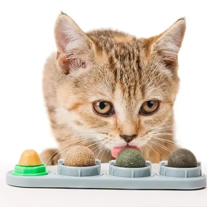 Boules de Catnip 4-en-1 : Friandise Léchable pour Chat