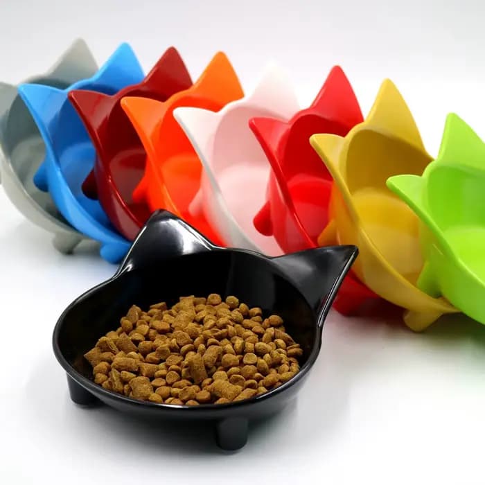 Aliments et plats d'eau colorés pour chats