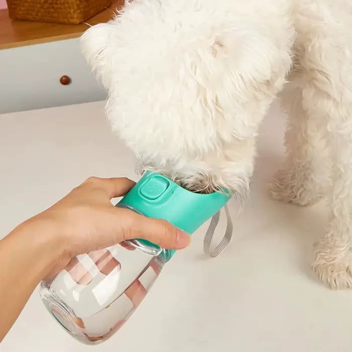 Bouteille d'eau Portable pour grands chiens
