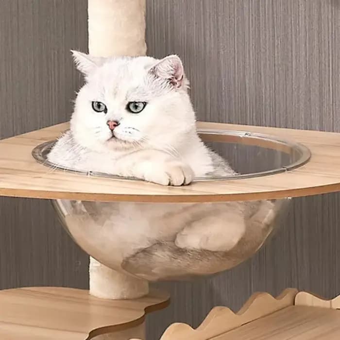 Grand arbre à chat en bois avec dosette spatiale
