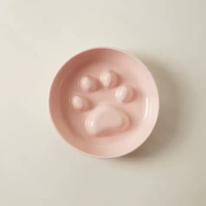 Bol à nourriture et à eau pour chat en céramique