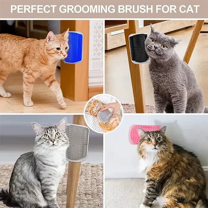 Brosse de coin massante et griffoir pour chat