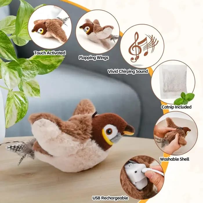 Jouet coule oiseau volant pour chat