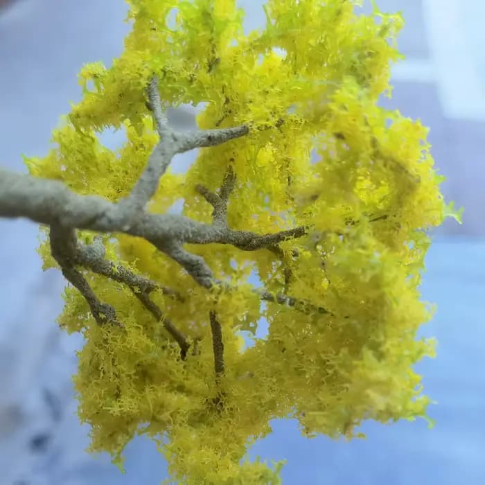 Tronc d'arbre en fil de 10 à 28cm