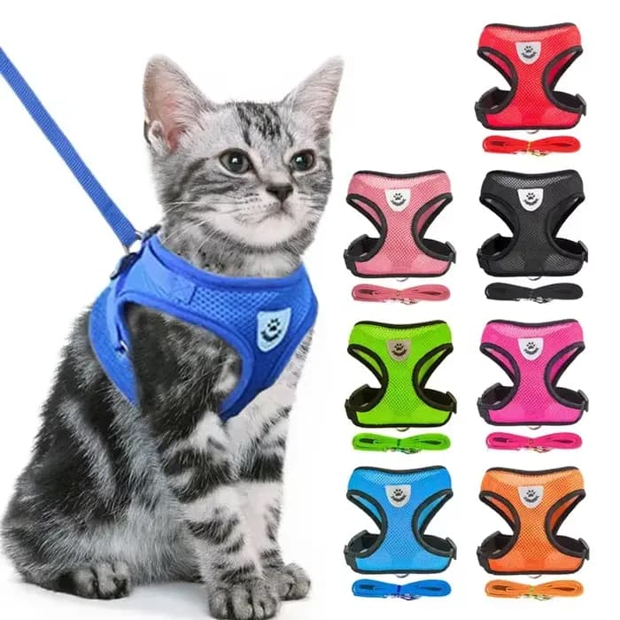 Laisse en plomb en polyester réglable pour animal de compagnie