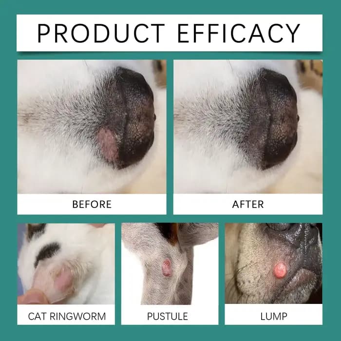 YEGBONG Spray de soin hypoallergénique pour la peau des animaux de compagnie