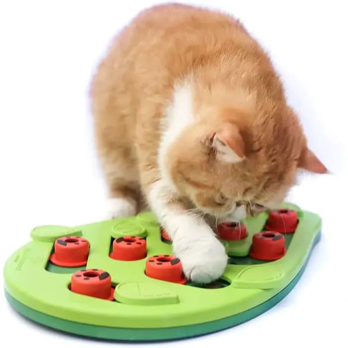 Jouet de puzzle pour chat en plastique non toxique de haute qualité