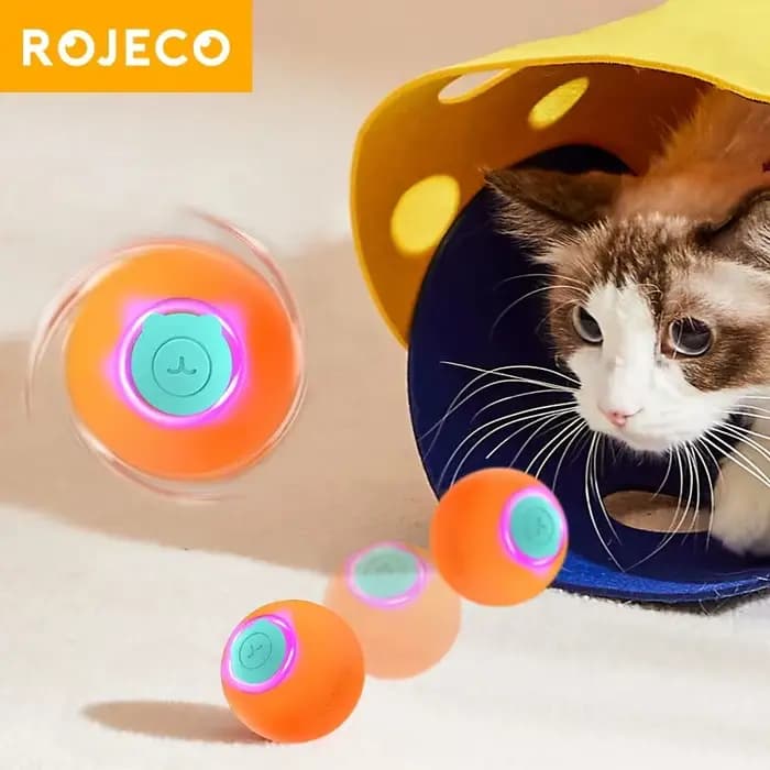 Jouets Intelligents pour Chat