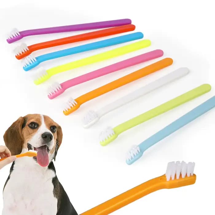 Brosse à dents pour chien et chat
