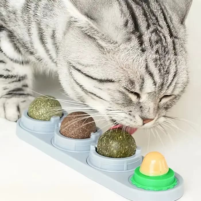 Boules de Catnip 4-en-1 : Friandise Léchable pour Chat