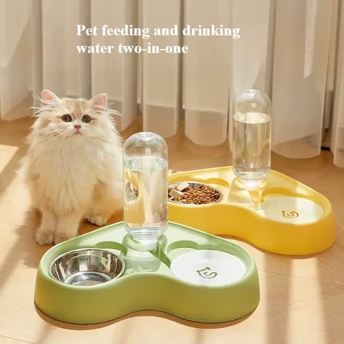 Nouvelle gamelle pour chat