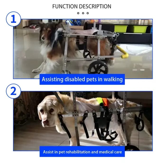 HarNISSAN-Poussette à quatre roues pour animaux de compagnie, accessoires d'entraînement pour chiots, pattes de chien, tout pour handicap, fournitures pour chiots, accessoire de comportement