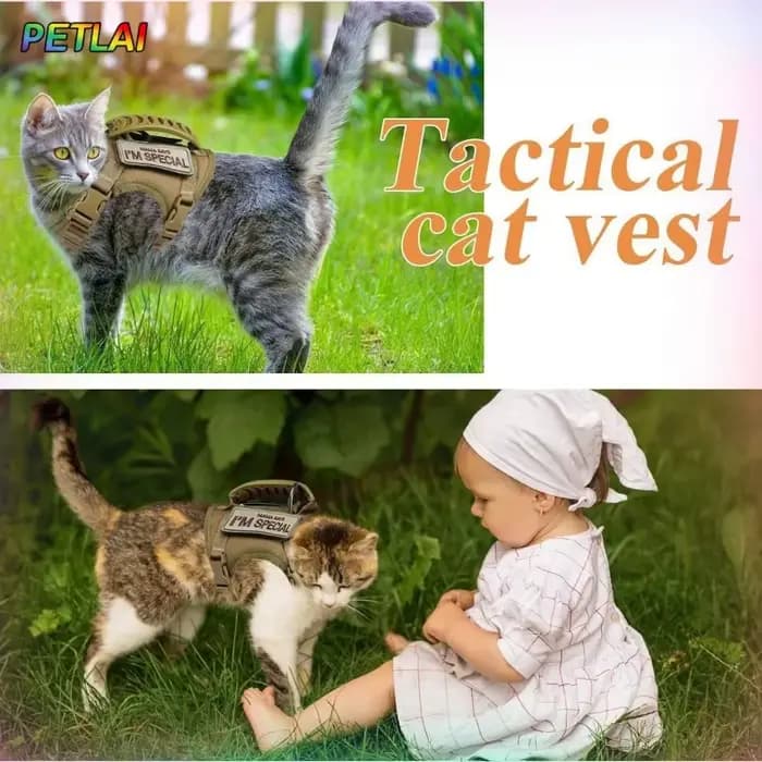 Harnais et laisse tactiques pour chat