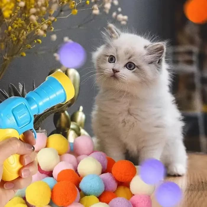 Jouets pour chats, lanceur de balle automatique