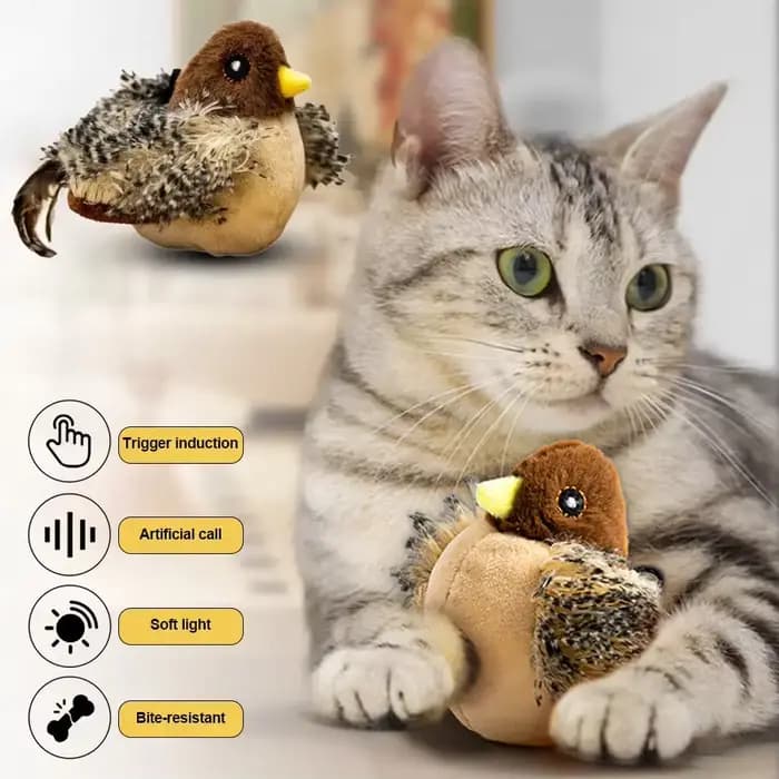 Jouet interactif pour chat