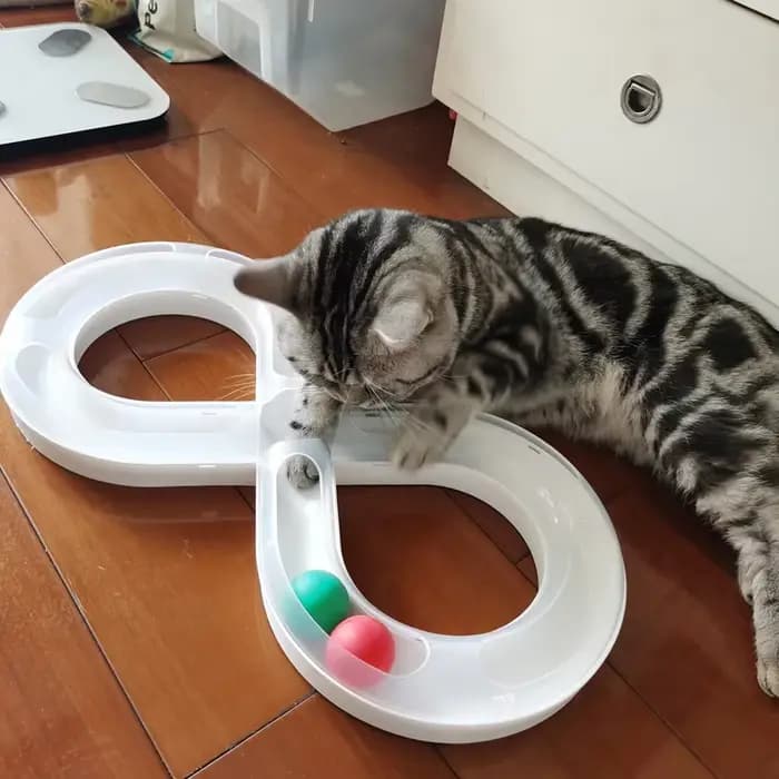 TJavier-Jouet domestique coloré pour chat