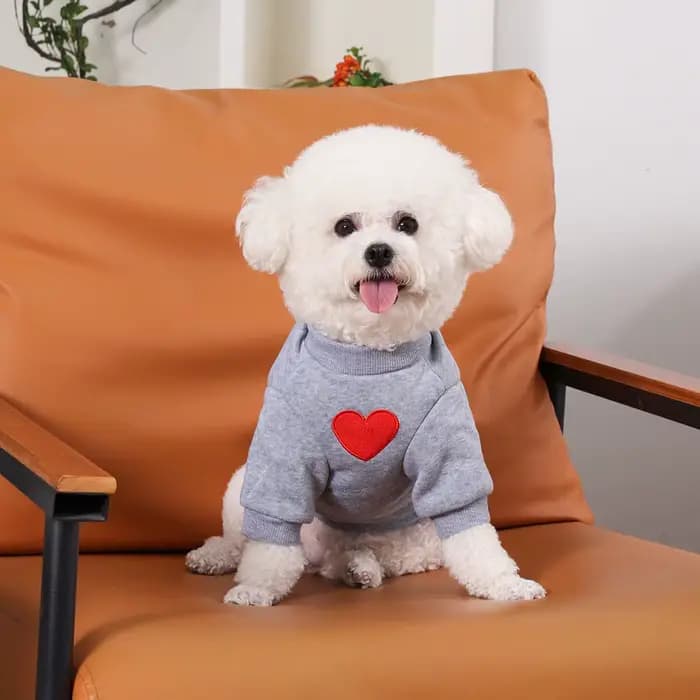 Pull moyen chat pour Taddy Yorkshire hiver chaud petit chien à capuche amour