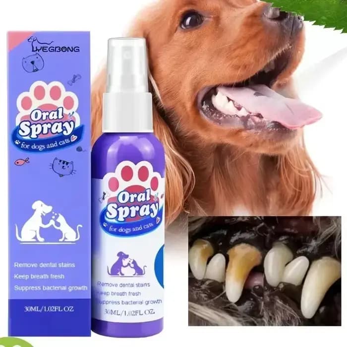 Spray de nettoyage des dents d'animaux domestiques