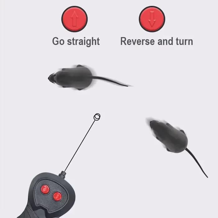 Souris robot sans fil télécommandée pour chat