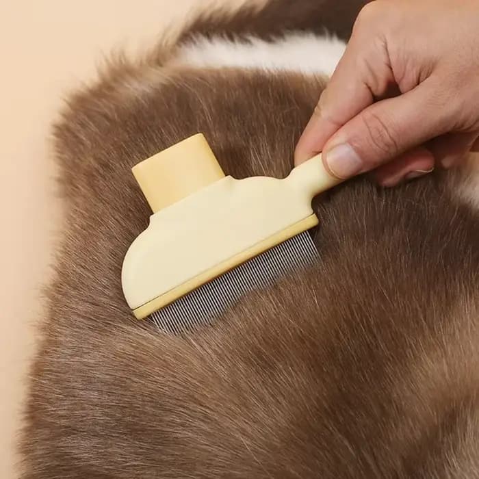 Peigne pour animaux de compagnie