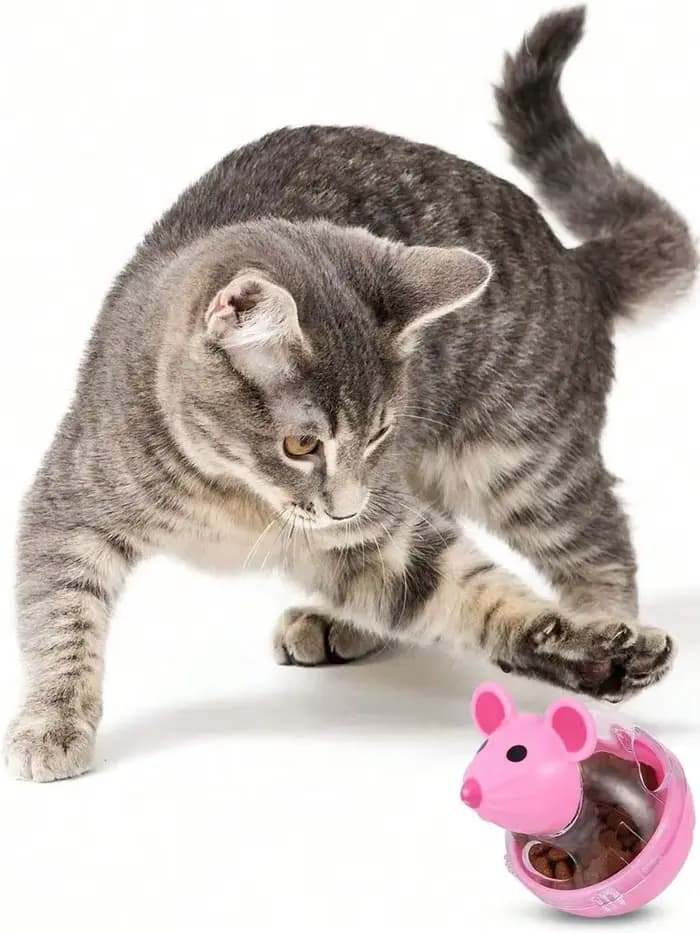 Jouet distributeur de nourriture pour animaux de compagnie