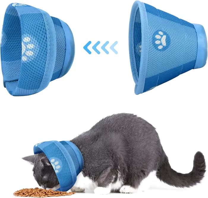 Collier Cône Réglable pour Chat et Chien
