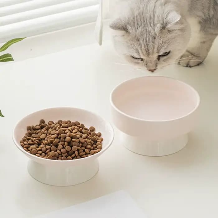 Gamelle créative en céramique pour chat
