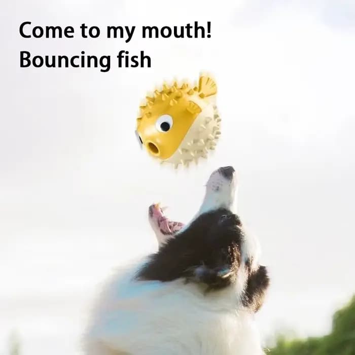 Jouet pour chien en forme de poisson rebondissant