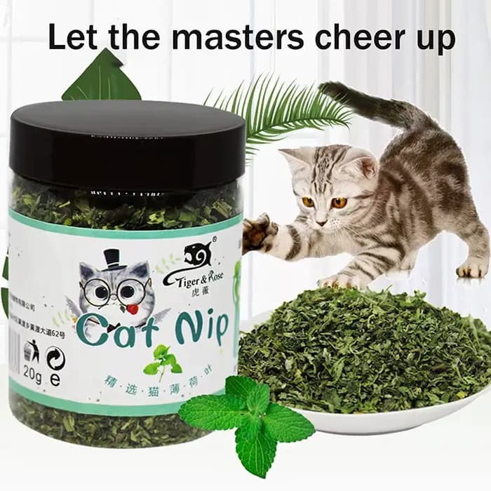 Nouveau jouet interactif pour chat de haute qualité