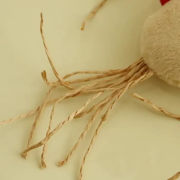 Jouets sûrs pour chat, nettoyage des dents