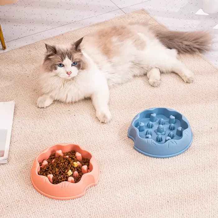 Gamelle anti-étouffement et anti-renversement pour chien et chat