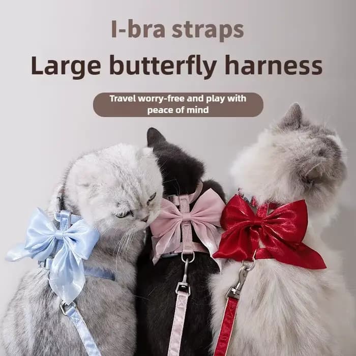 Harnais réglable pour animaux de compagnie avec corde de Traction pour chaton chiot lapin furet mignon chat