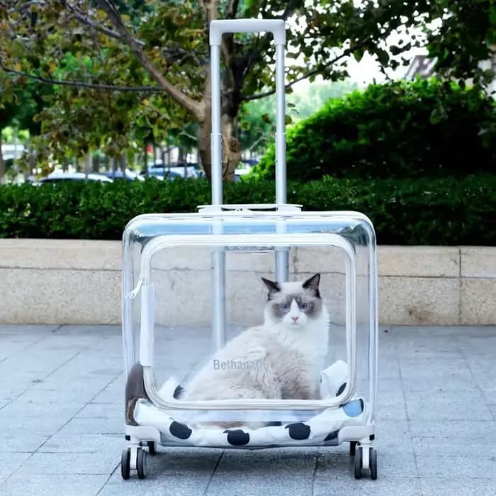 Sac à Dos Transparent pour Animaux de Compagnie