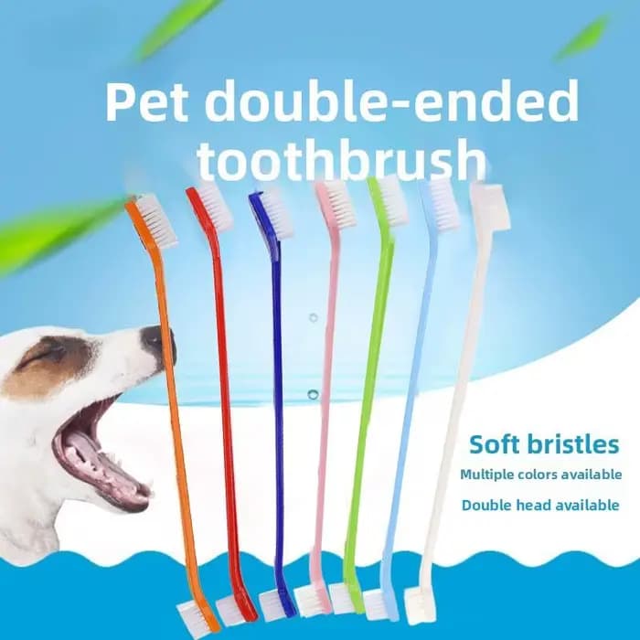 Brosse à dents pour chat et chien avec manche long pour un nettoyage en profondeur