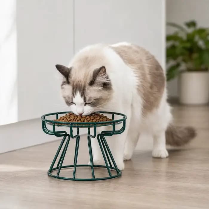 Support surélevé en métal pour gamelles de chat – Gamelle surélevée pour animaux de compagnie – Distributeur de nourriture et de friandises en céramique pour chats et chiens – Accessoires d'alimentati