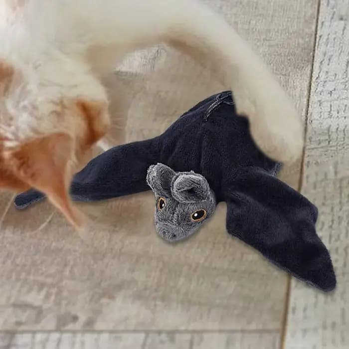 Oiseau volant battant avec herbe-aux-chats