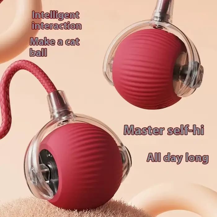 Boule de jouet pour chat