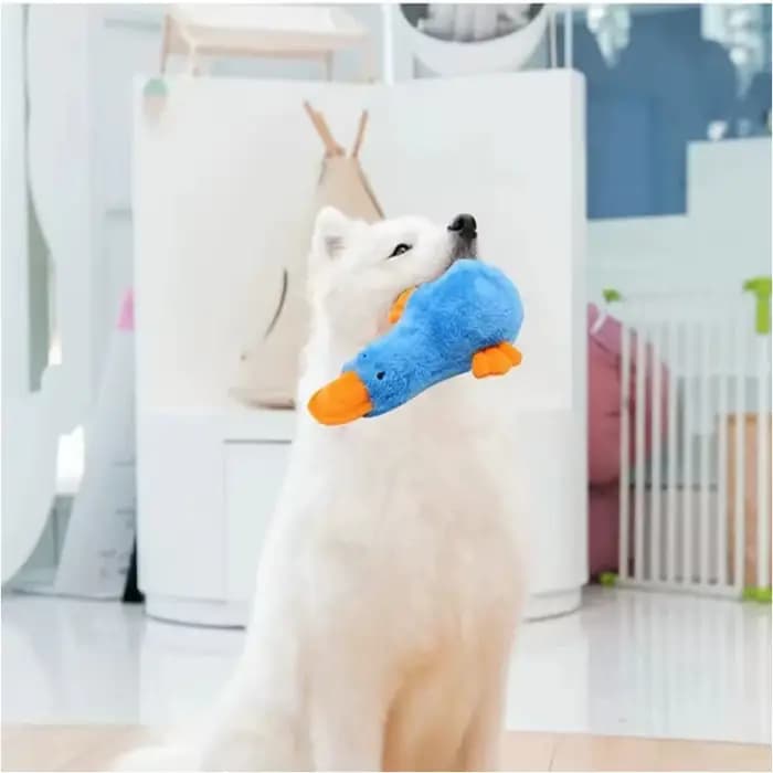 Jouets chat mignon drôle interactif en peluche canard