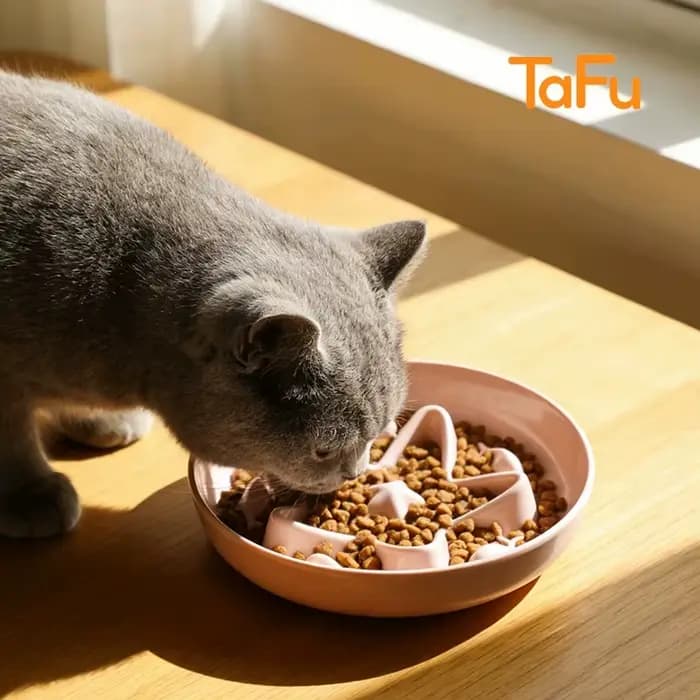 Gamelle anti-étouffement pour chat en forme d'étoile